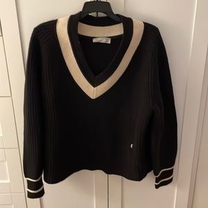 Everlane v neck sweater
